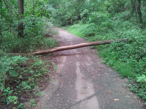 Herring Run Park Bike path