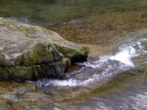 District 4 Marshall-20111231-00079.jpg image