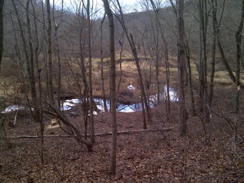 District 5 Dublin-20111231-00099.jpg image