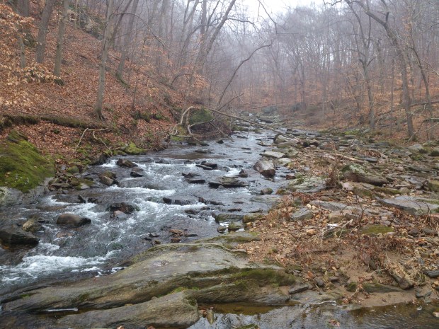 Looking solace in the face