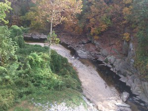 Taking a gander at Herring Run from above the bridge riding through Baltimore City.