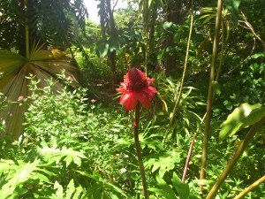 Mother Nature beckons