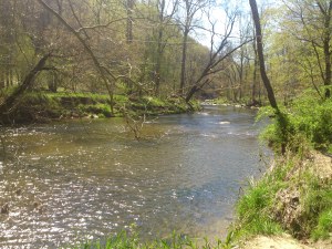 I often sit here at let the water make sense of it all.