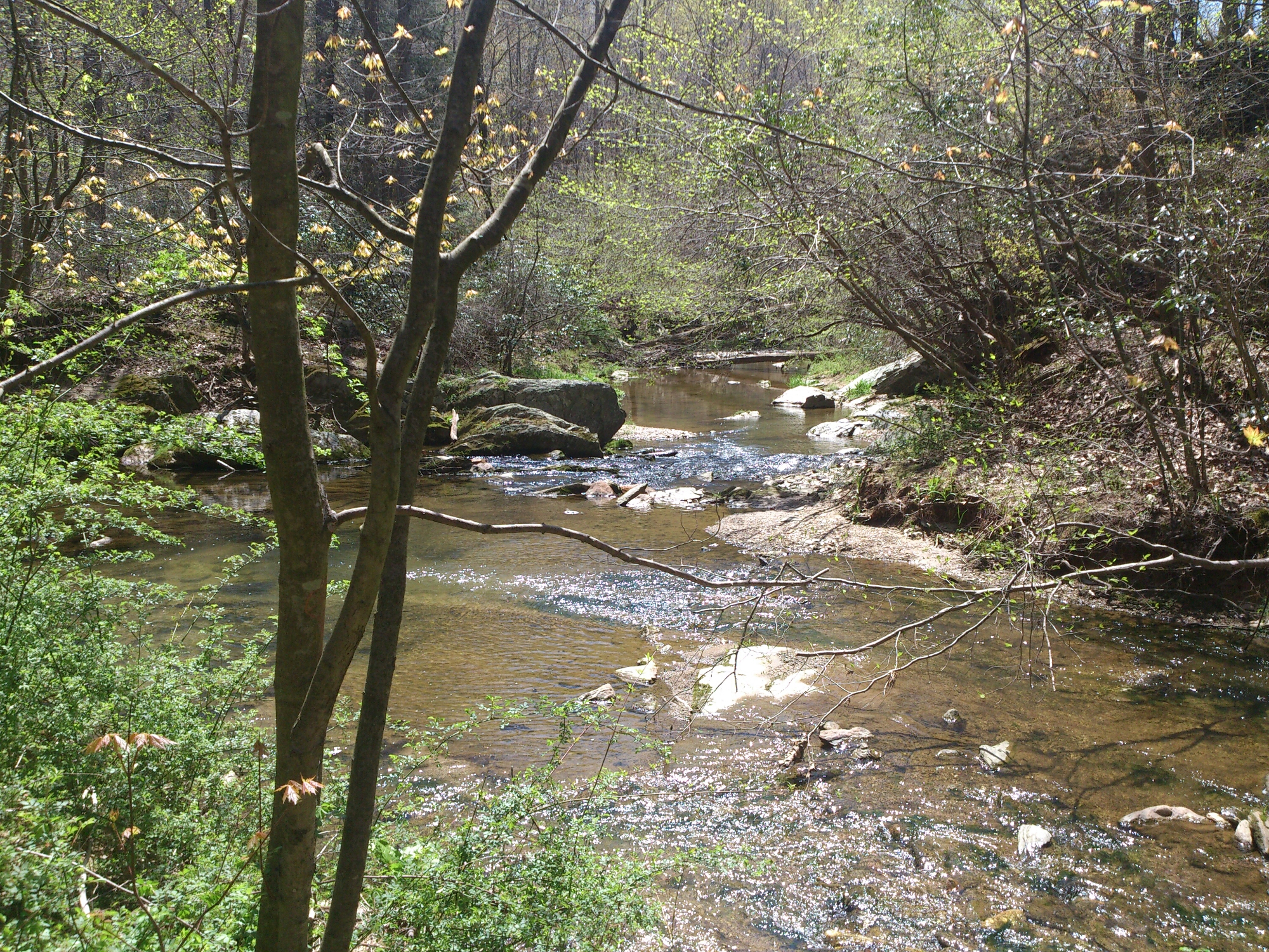 wpid-wp-1399828996685.jpeg image