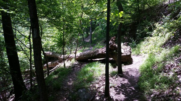 In the midst of the Patapsco Valley