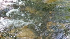 The swirling waters