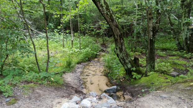 20140803_134935.jpg image