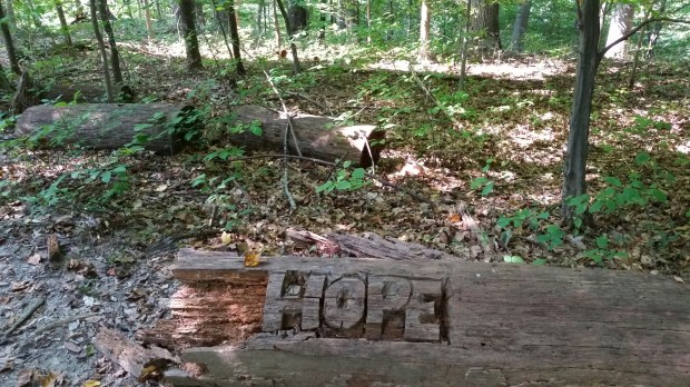 Sometimes life reminds you of the obvious.