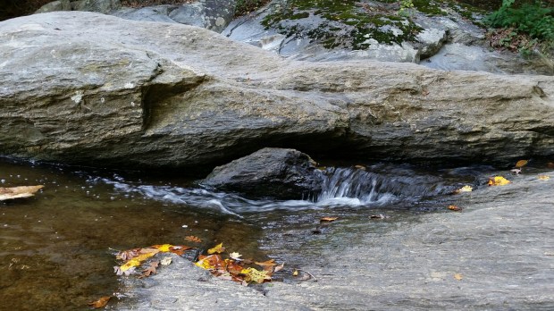 20141004_161414.jpg image