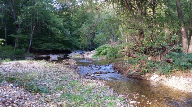 20141004_165358.jpg image