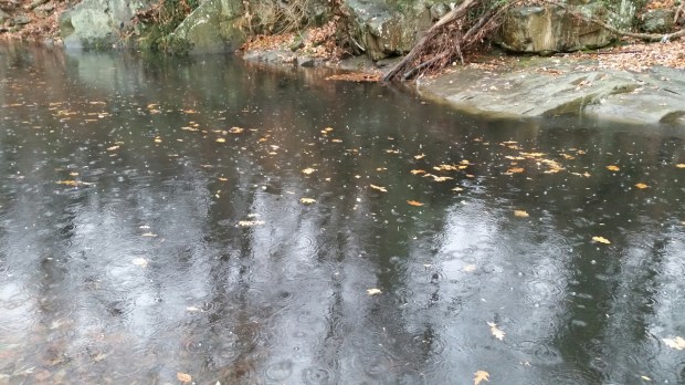 20141202_081800.jpg image