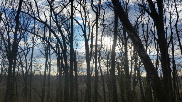 20150119_152321.jpg image