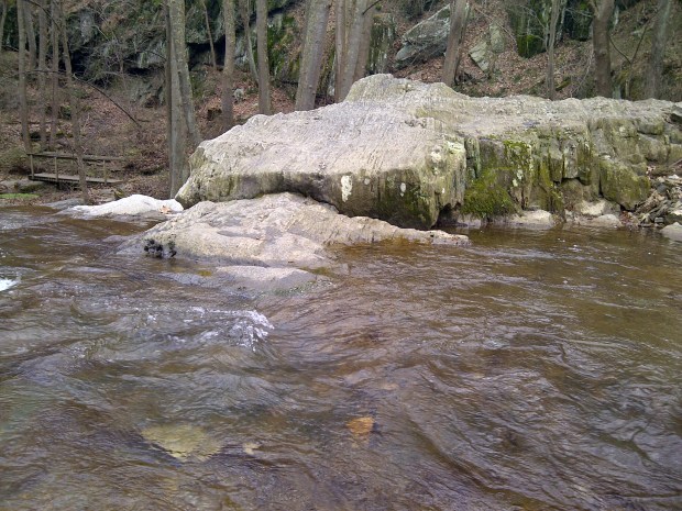 Sometimes the silence awakens something.