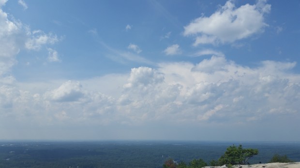 On the top of Stone Mountain