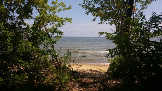 20150711_144033.jpg image