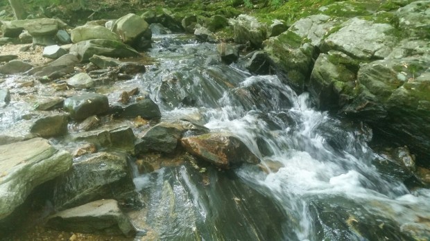 20150528_172254.jpg image