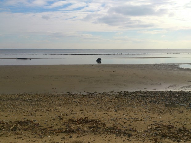 wp-1460953576886 image