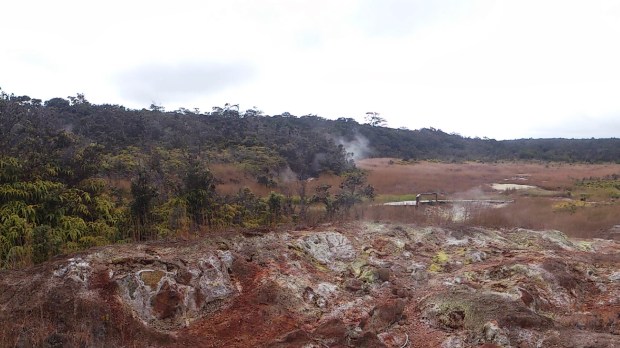 wp-1463481648106 image