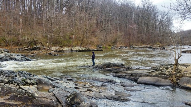 IMG_20170408_030527_394