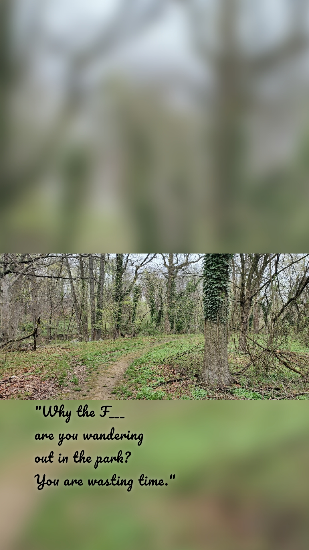 "Why the F___ are you wandering out in the park? You are wasting time."