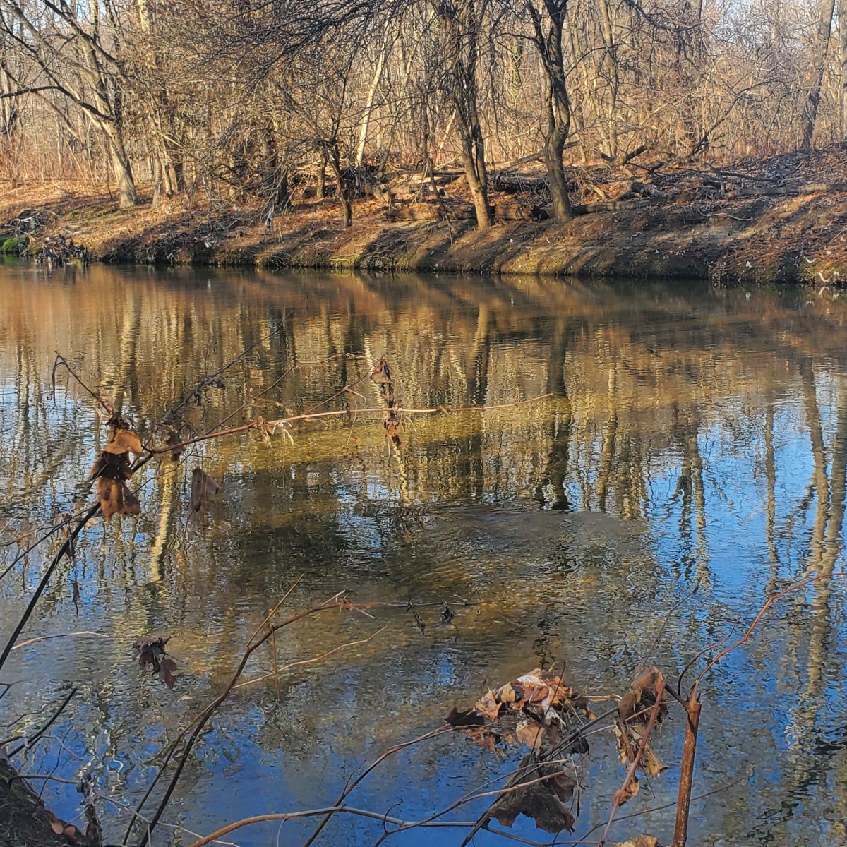 On the East side of Goose&nbsp;Creek
