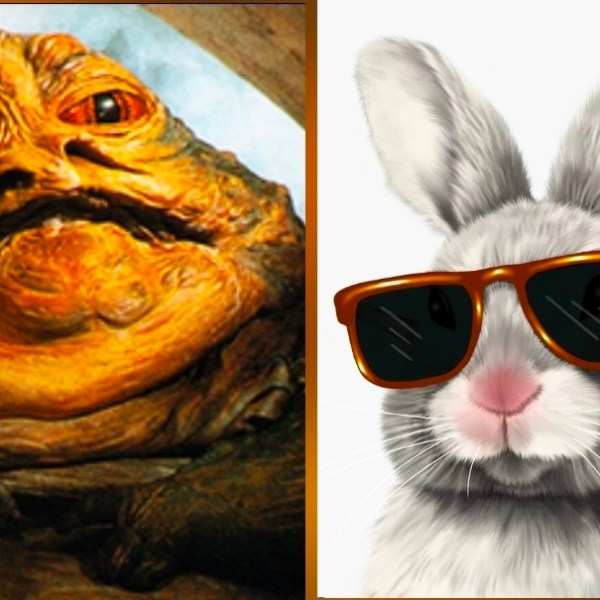 Un conejo malo y un gran&nbsp;tonto